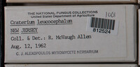 Image Associated With the Occurence